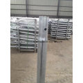 Hot DIP Galvanized Ground Pile, Ground Screw